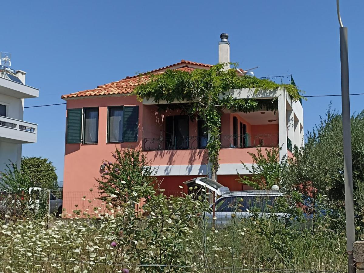 Olgas Villa Arogi 外观 照片